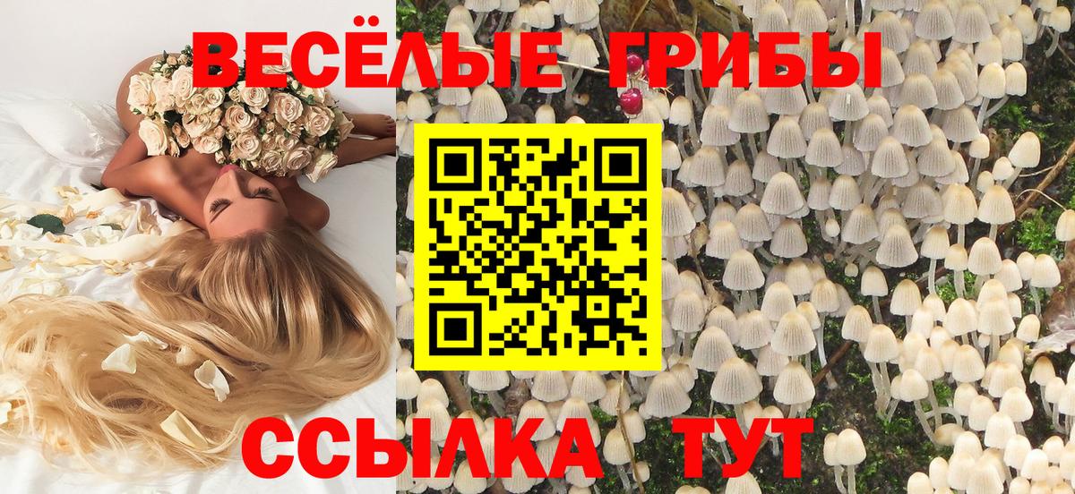 Псилоцибиновые грибы прущие грибы Тулун