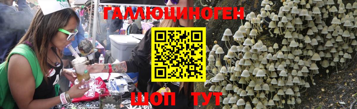 купить  цена  Псилоцибиновые грибы Psilocybe  Галлюциногенные грибы мухоморы  Вход с VPN  Тулун 